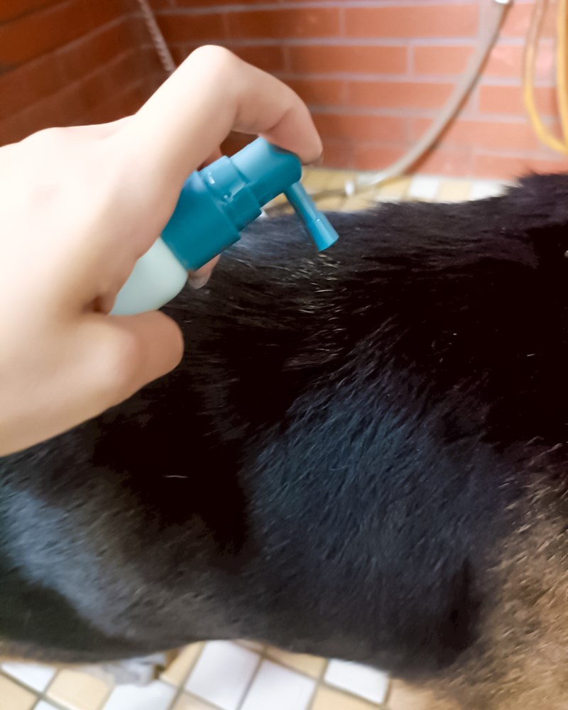 女人知己試用大隊,口碑行銷,部落客行銷,Goodmofamily歸毛家族 寵物肌膚救星組,歸毛家族 寵物肌膚救星,舒敏保濕洗毛乳,護膚噴液,精萃營養霜,博士30年生技專業,給足皮膚營養保護力,無抗生素 無類固醇,神經醯胺,19種綜合胺基酸,榮獲SNQ國家認證,上萬毛爸媽見證,3週幫助皮膚健康,NO.1寵物肌膚口碑霸主,寵物第一護膚領導品牌